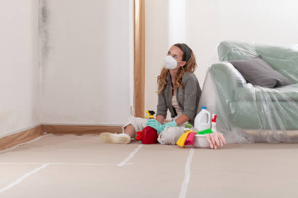 Reliable Mold Inspection contractor in Islip Terrace, NY by WQB Mold Removal